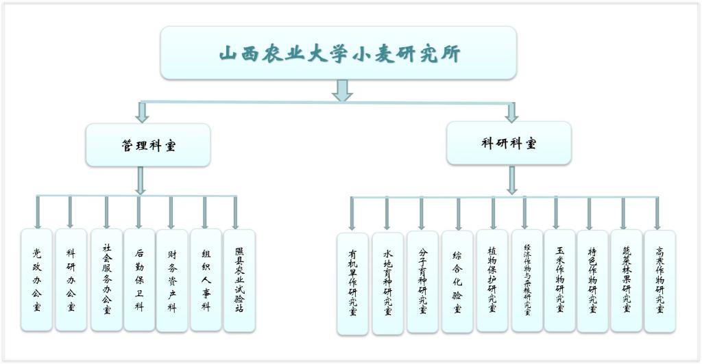 山西農業大學小麥研究所