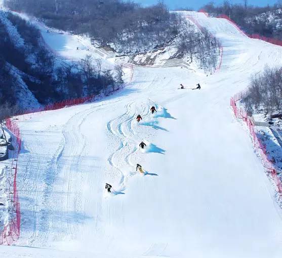 馬息嶺滑雪場