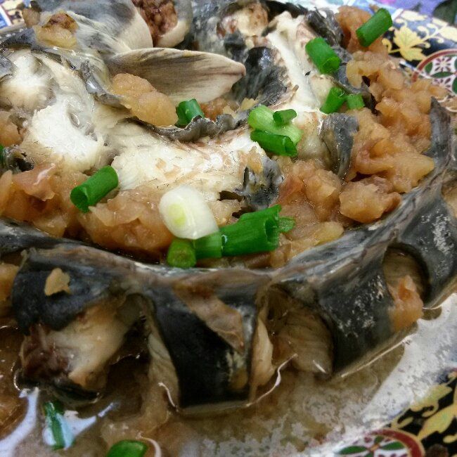 菜甫鹹梅蒸鰻魚