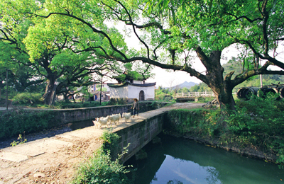 通濟堰