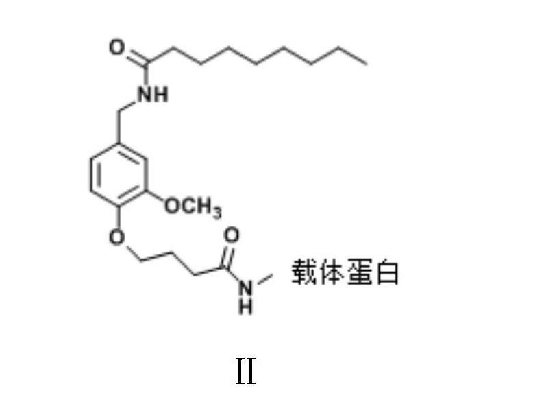 一種辣椒素人工半抗原、人工抗原及其製備方法