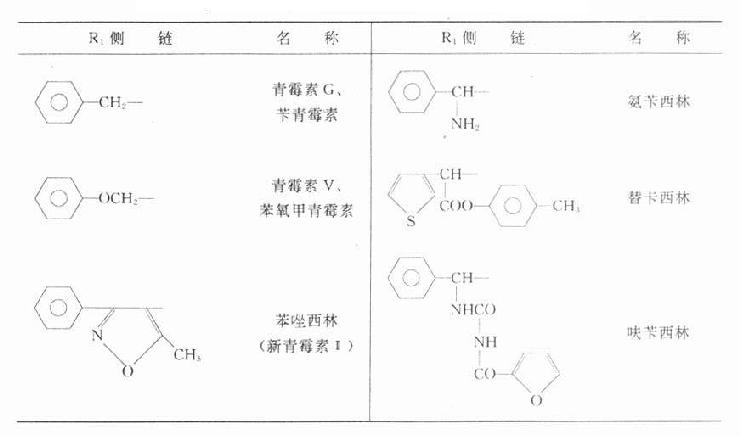 耐酸青黴素