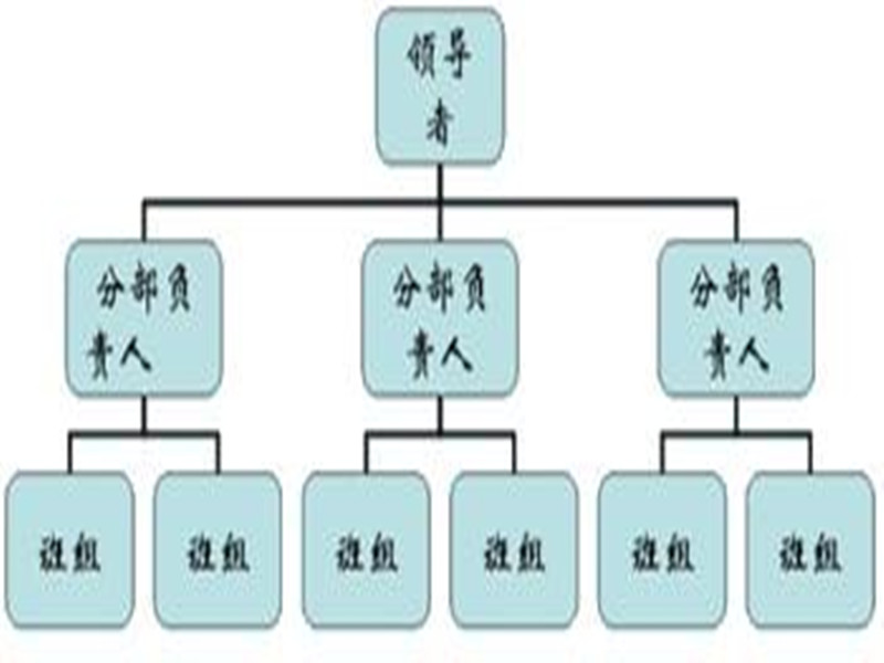 公司組織結構