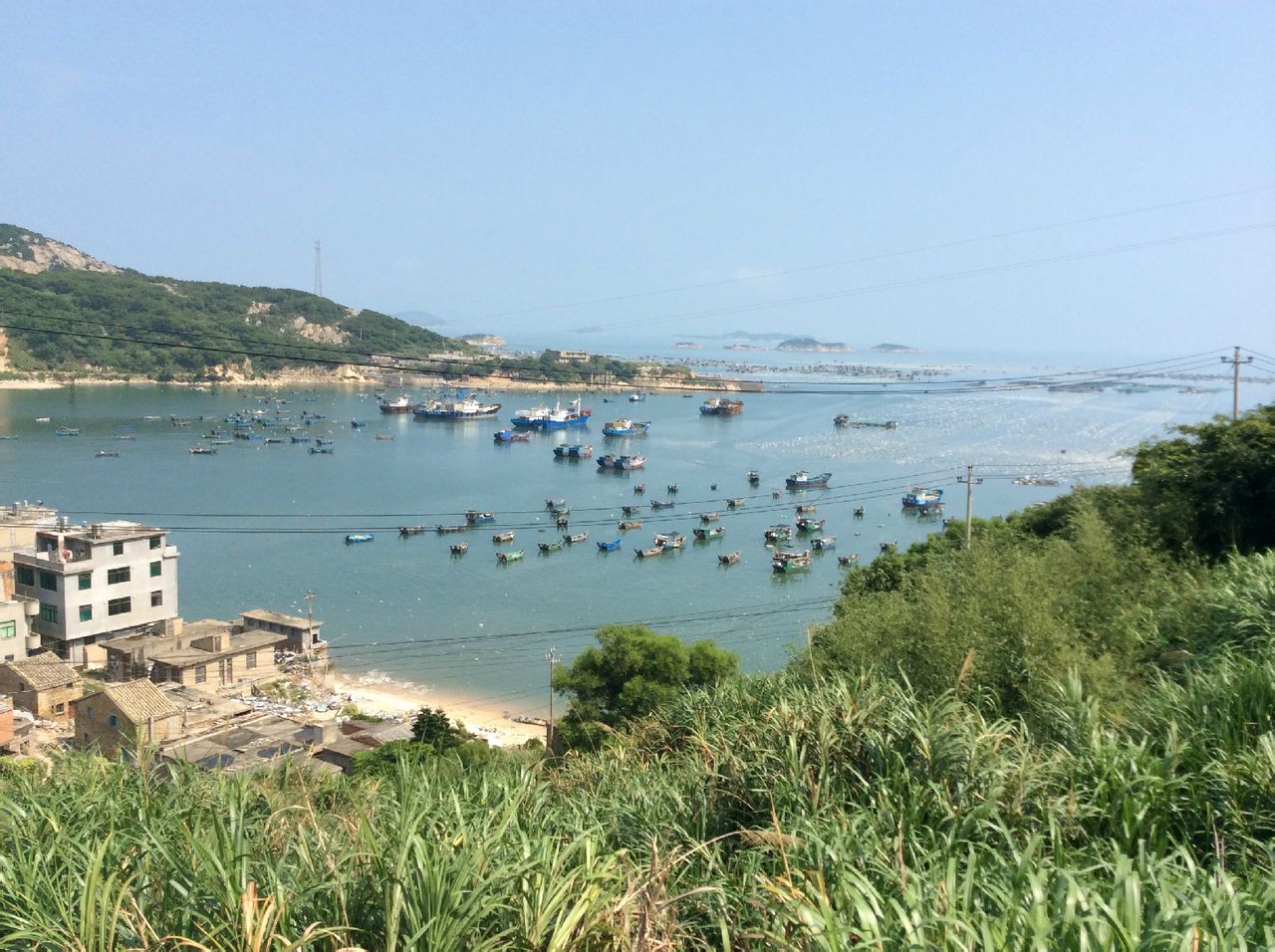 大建村(福建省福州市連江縣黃岐鎮下轄村)