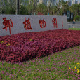 邯鄲植物園