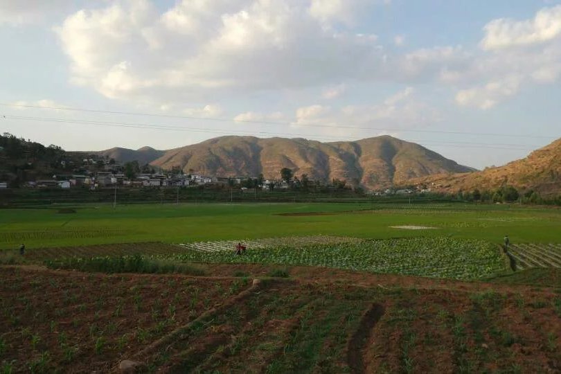 格子村(雲南省大理州祥雲縣普淜鎮格子村)