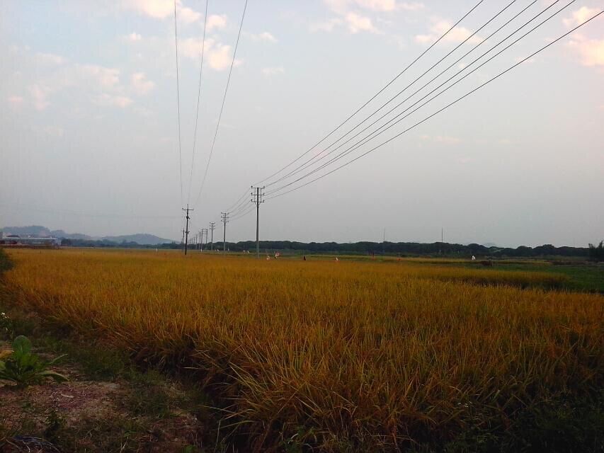 汾水村(廣東揭陽玉湖汾水村)