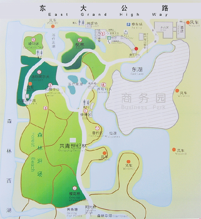 上海濱海森林公園(濱海森林公園)