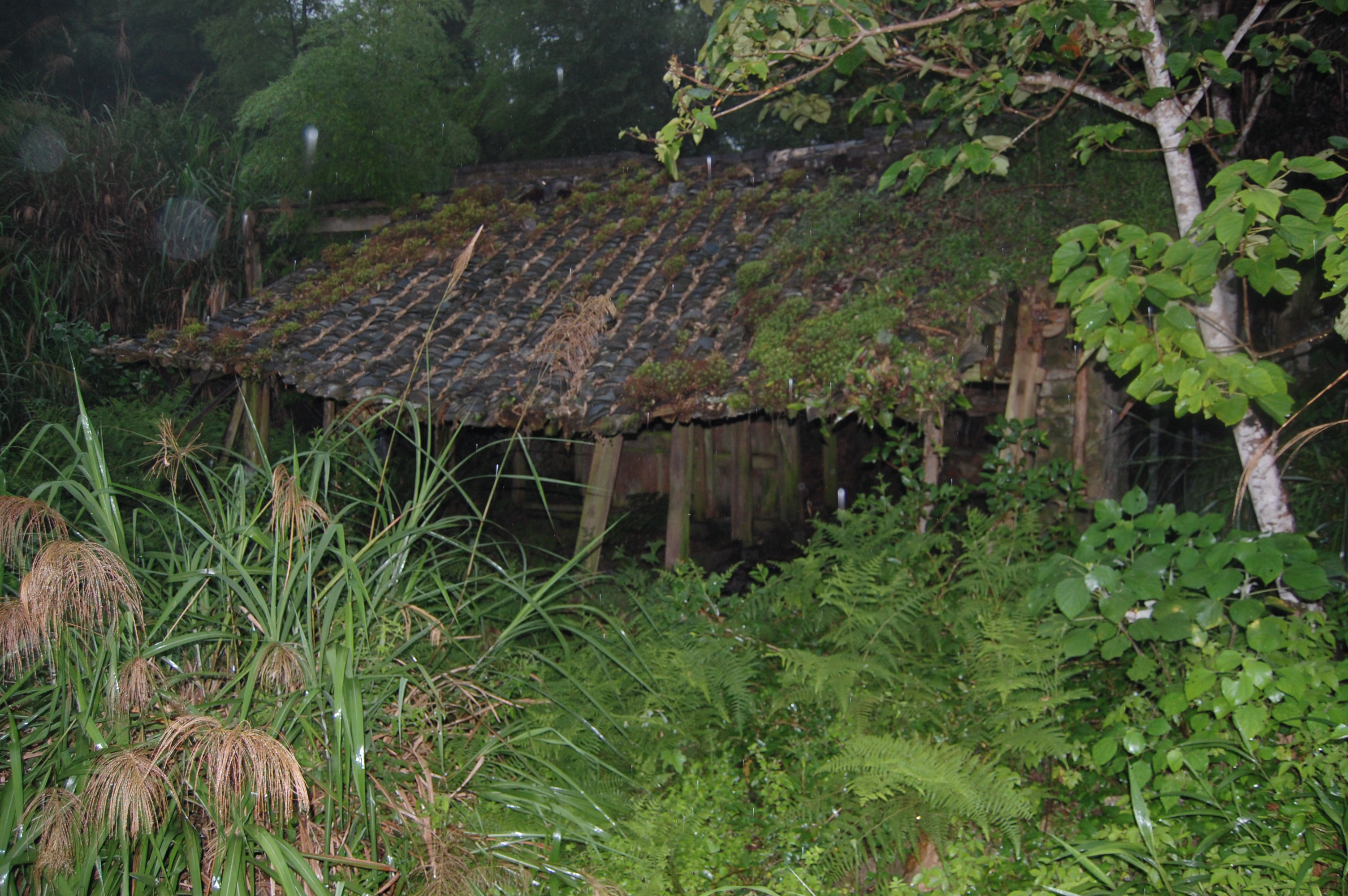 餘姚嶺古道