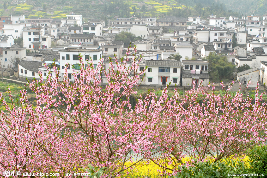 桃花村(安徽省來安縣張山鄉下轄村)