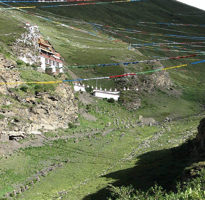 洛卓沃龍寺漫山遍野的聖草聖藥