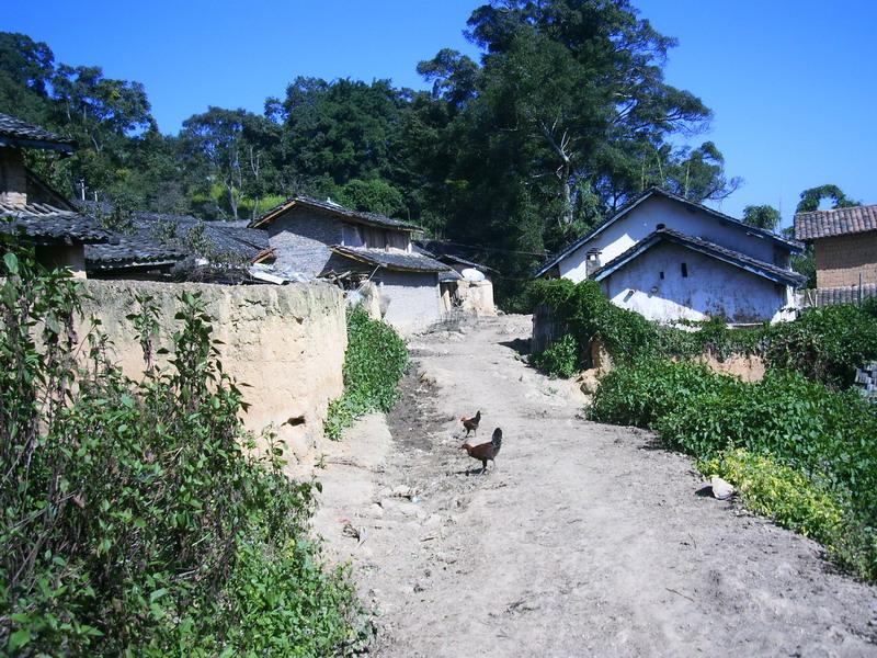 入村道路與民居