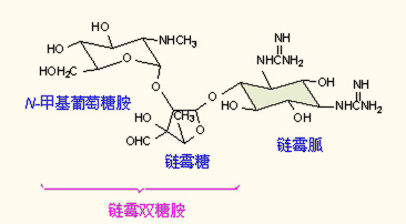 鏈黴素