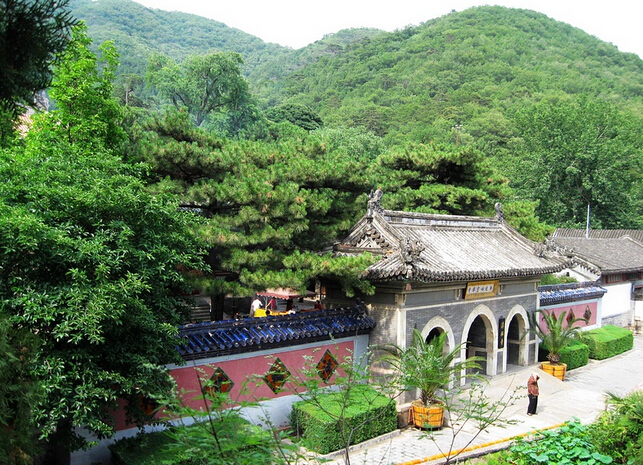 老王坡村(雲南文山州馬關縣夾寒箐鎮下轄村)