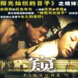 窺FISSURE(DVD)