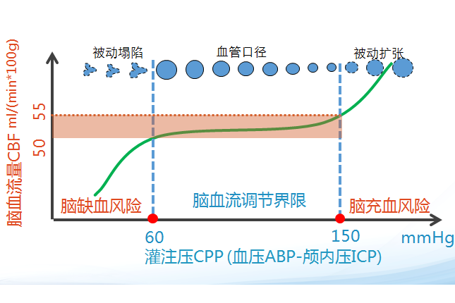 腦血流自動調節