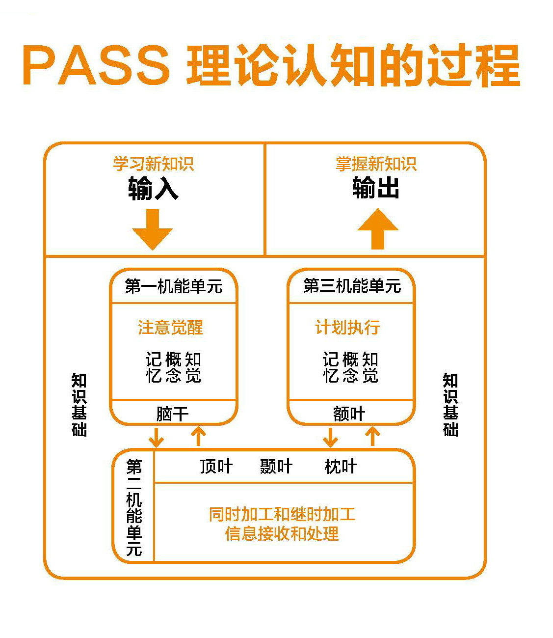 智力PASS模型