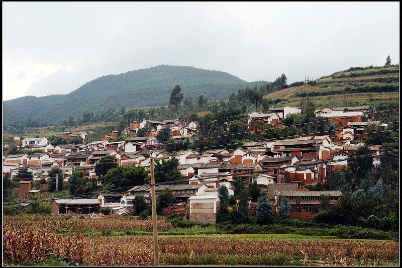 仁和里村