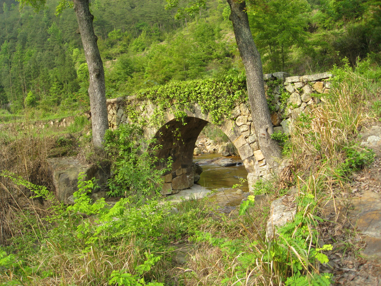 黃龍嶺古道