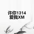 許你1314愛我XM