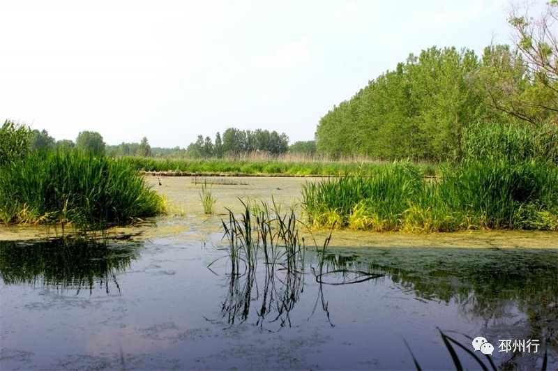 陶溝河