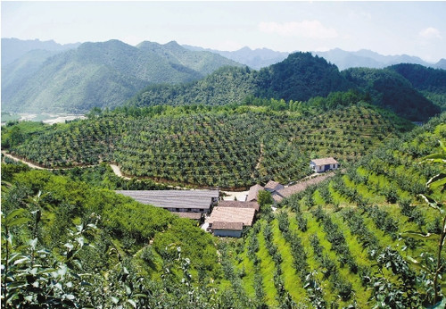 新龍村(雲南會澤縣迤車鎮下轄村)