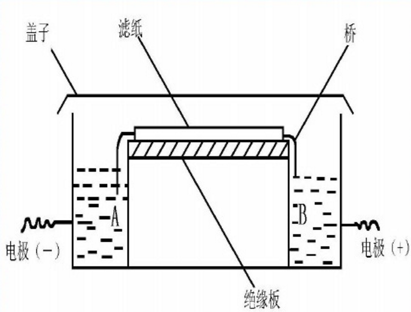 紙電泳原理示意圖