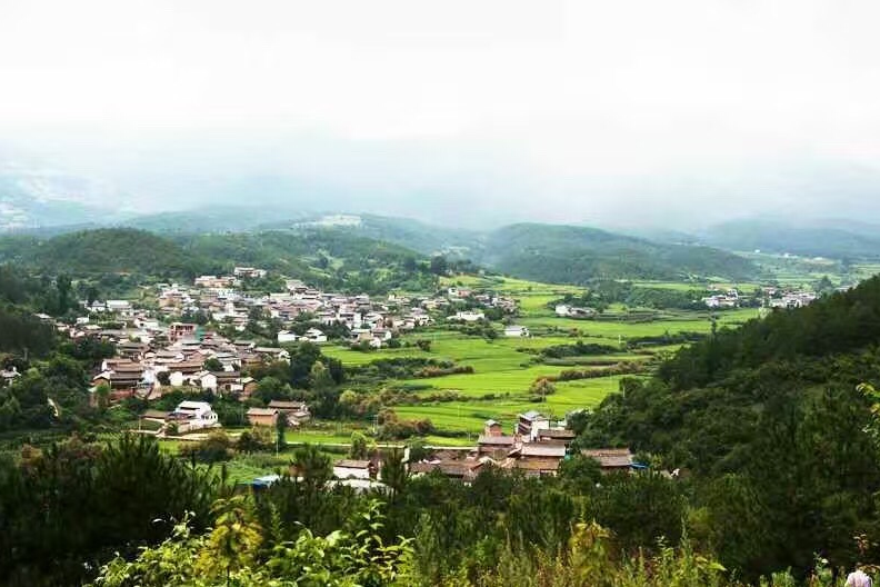 甸所村