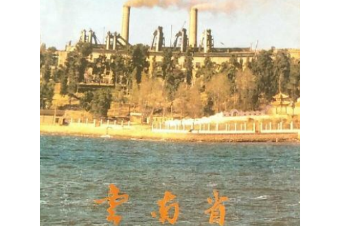 雲南省陽宗海發電廠志（1988年5月）