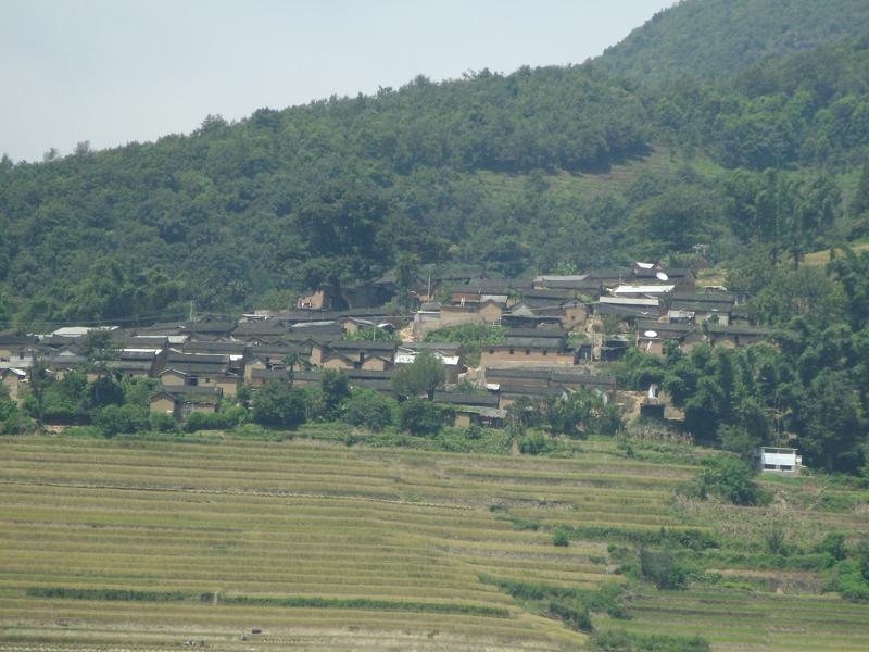 平掌街村