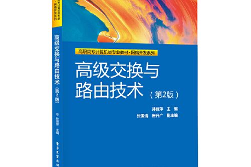 高級交換與路由技術（第2版）