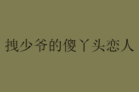 拽少爺的傻丫頭戀人