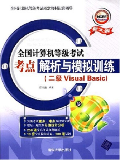 Visual Basic（二級）考試考點解析與模擬訓練