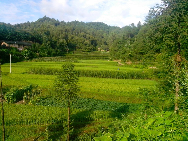 雙龍村(陝西省漢中市城固縣二里鎮雙龍村)