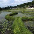 黃蓮山地旅遊度假區