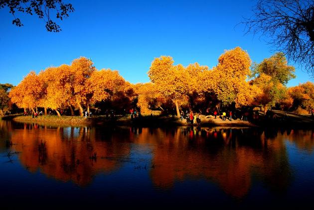 內蒙古額濟納胡楊國家森林公園