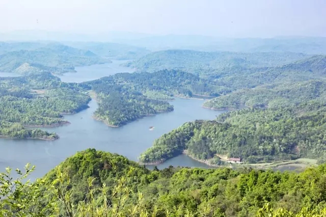 湖北當陽青龍湖國家濕地公園