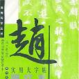 元趙孟(2003年上海畫報出版社出版的圖書)