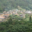 黃家寨村(雲南省紅河縣金河鎮黃家寨村)