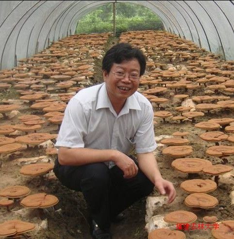 謝寶貴(福建農林大學生命科學學院副院長)