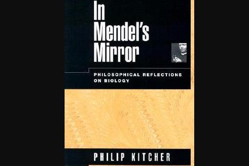 In Mendel\x27s Mirror