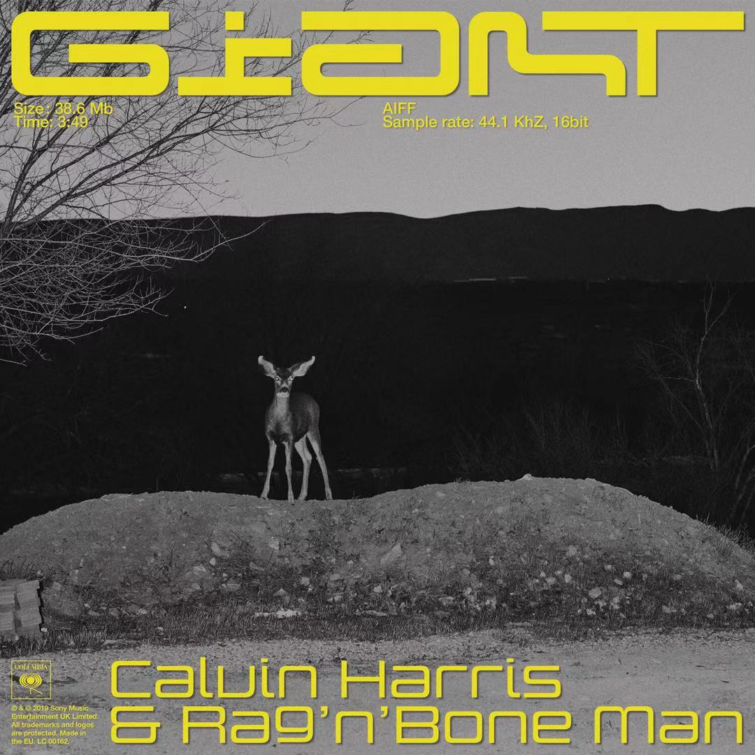 Giant(Calvin Harris製作單曲)