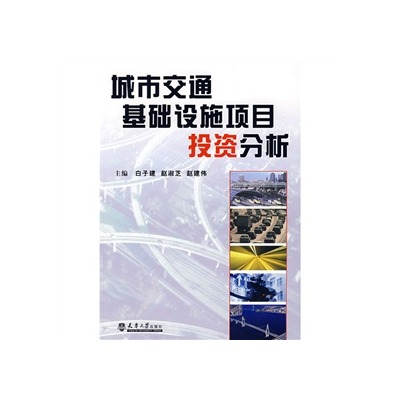 城市交通基礎設施項目投資分析