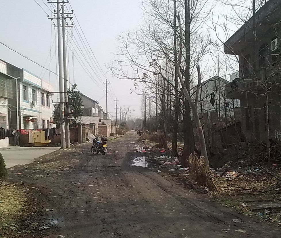 城東村(江蘇南通市通州市金沙鎮下轄村)