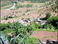 大橋大平掌村