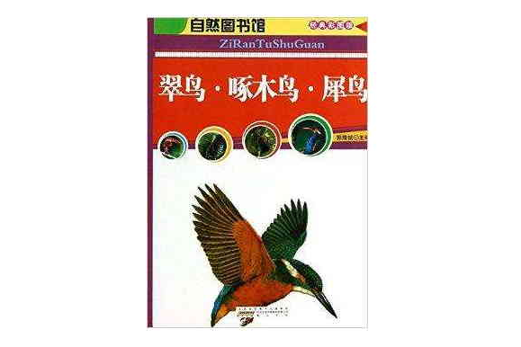 翠鳥啄木鳥犀鳥/自然圖書館