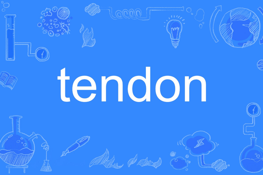 tendon