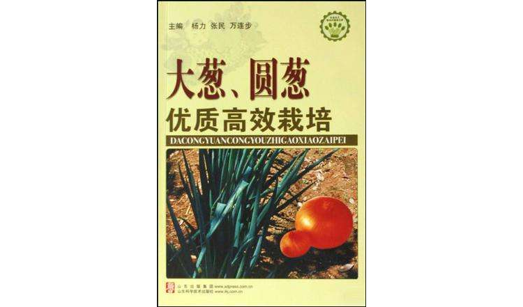 大蔥、圓蔥優質高效栽培