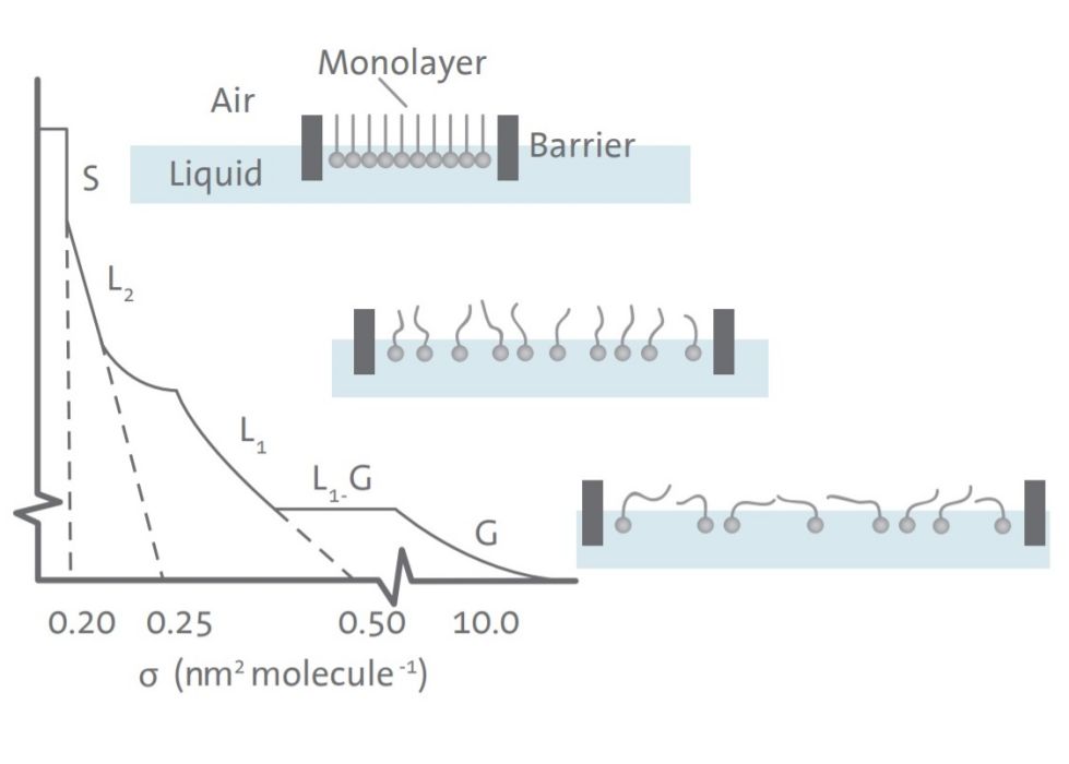 Langmuir-Blodgett膜