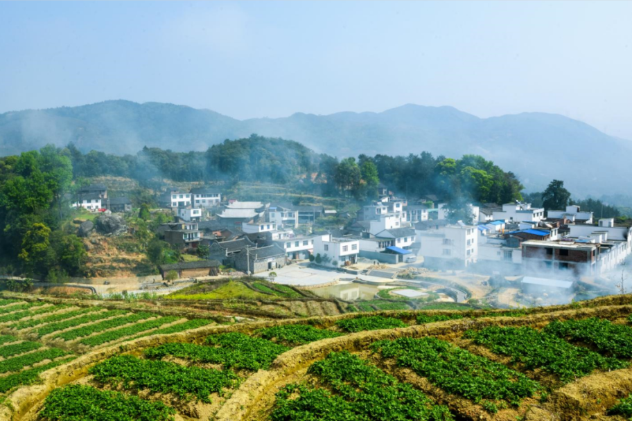 上黃柏村